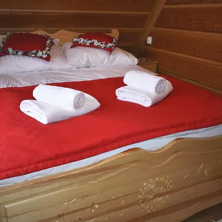 Dağ evi Goralski Pod Lasem Witów